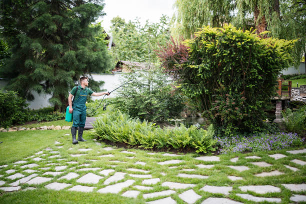 Best Affordable Pest Control Services  in Mckee City, NJ
