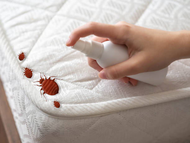 Best Flea Control Services  in Mckee City, NJ