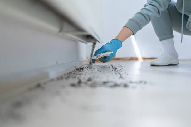 Best Cockroach Control Services  in Mckee City, NJ